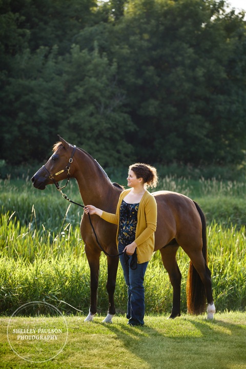 mn-portraits-arabian-horse-03.JPG