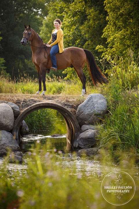 mn-portraits-arabian-horse-06.JPG