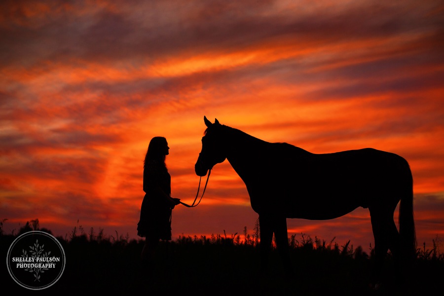 Keara’s Senior Photos with her Horse Harley