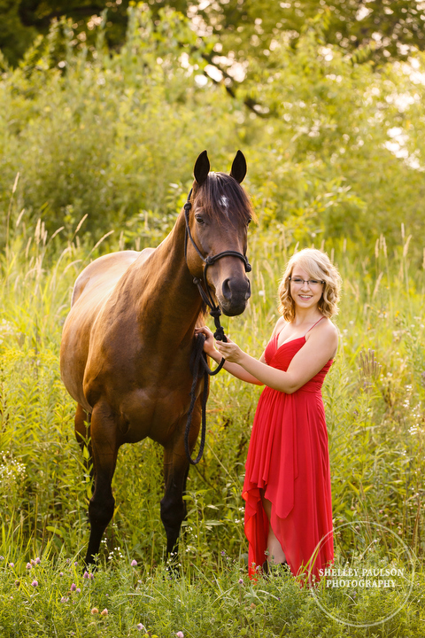 minnesota-senior-equine-03