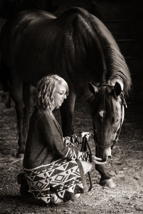 minnesota-senior-equine-06.JPG