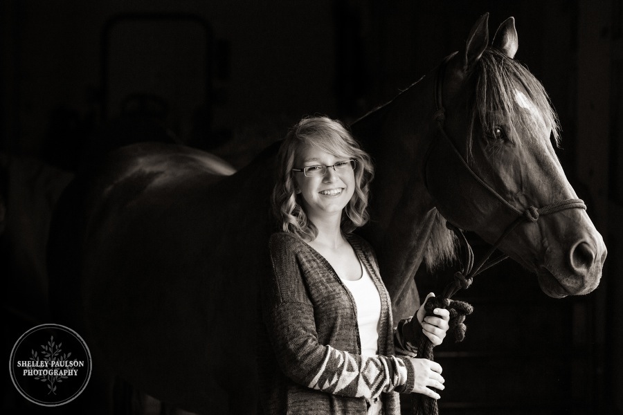 minnesota-senior-equine-07.JPG