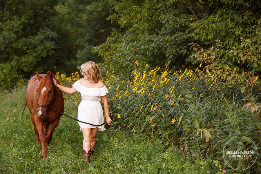 minnesota-senior-equine-10.JPG