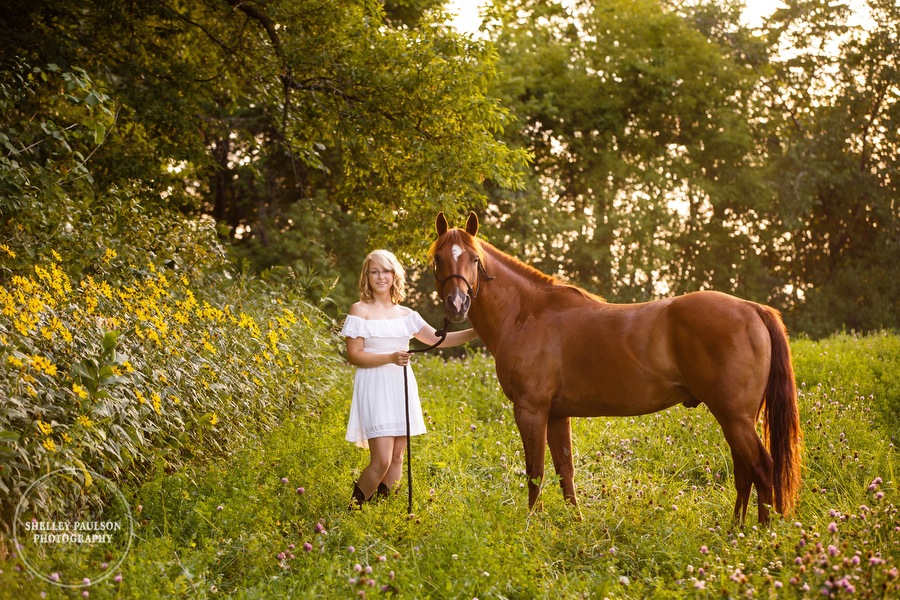 minnesota-senior-equine-11.JPG