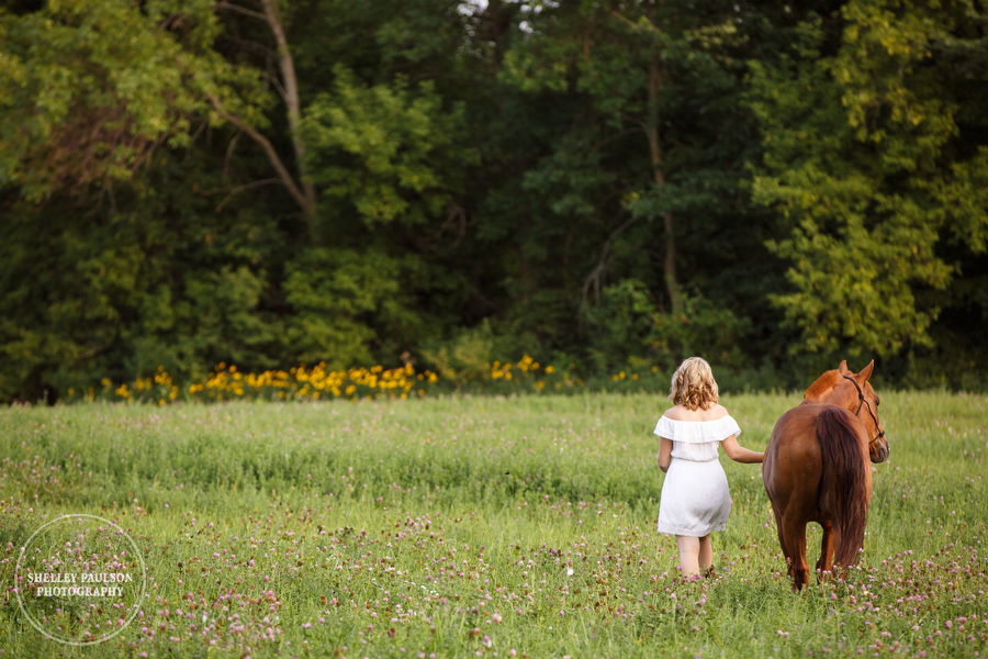 minnesota-senior-equine-12