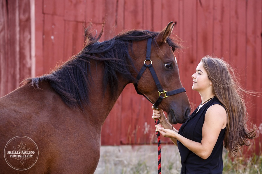 mn-senior-photos-with-horses-02.JPG