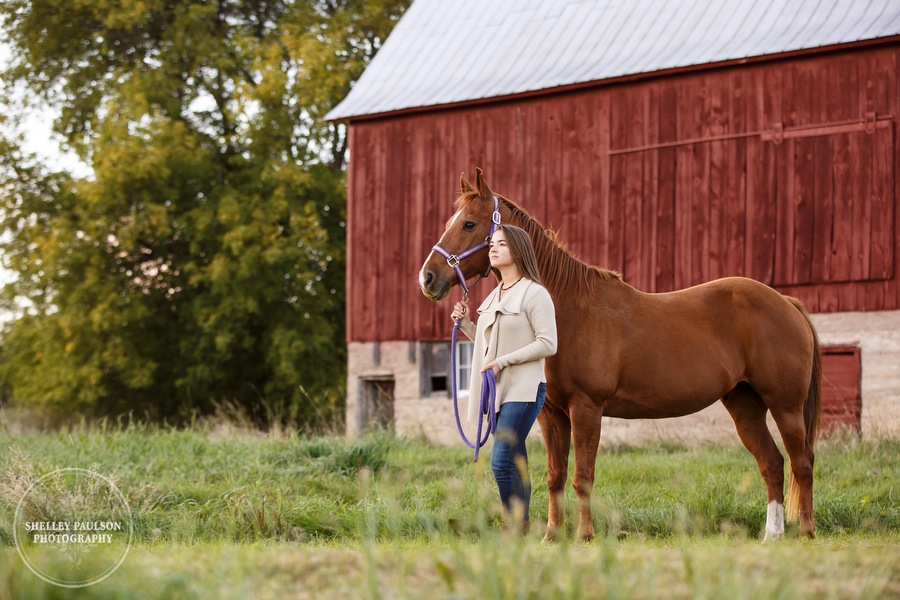 mn-senior-photos-with-horses-12.JPG