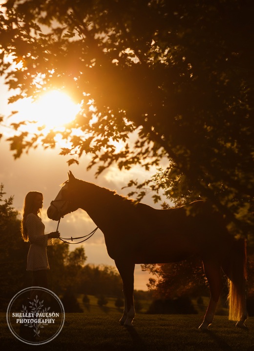 paint-horse-senior-portraits-03.JPG