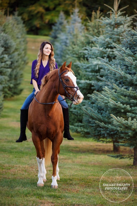 paint-horse-senior-portraits-09.JPG