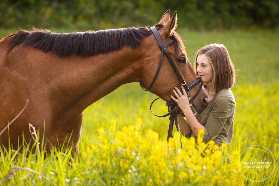 minnesota-equestrian-portraits-03.JPG