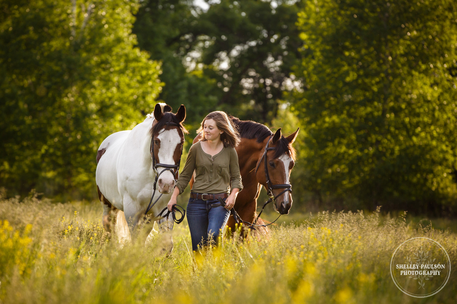Portraits of Marissa and her Lovable Horses