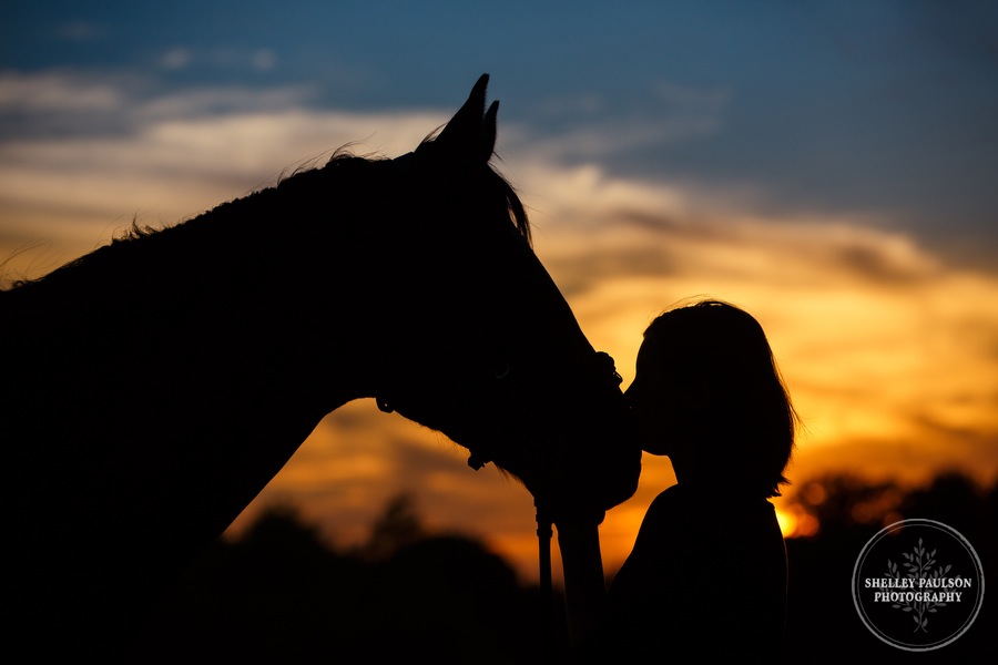 minnesota-equestrian-portraits-15.JPG