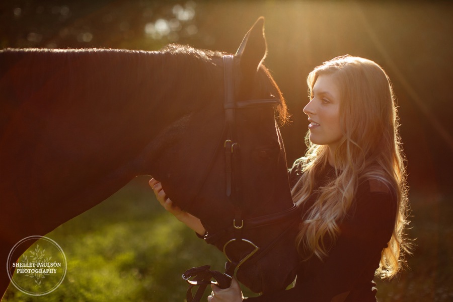 orono-mn-equine-photographer-05.JPG