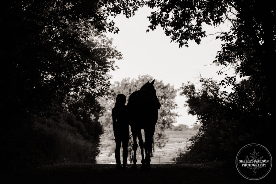 orono-mn-equine-photographer-06.JPG