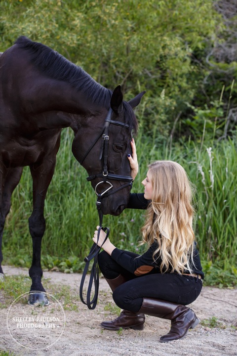 orono-mn-equine-photographer-09.JPG