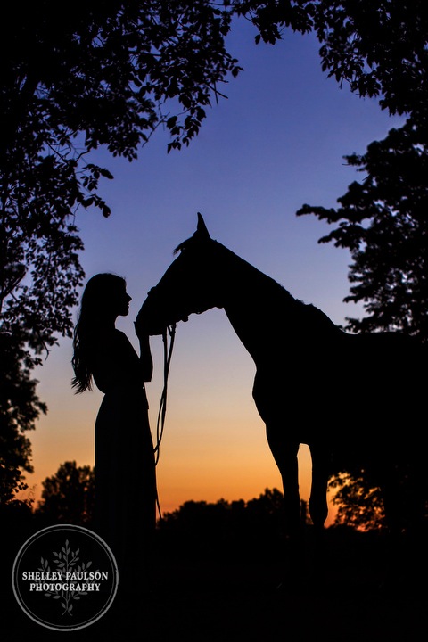 orono-mn-equine-photographer-13.JPG