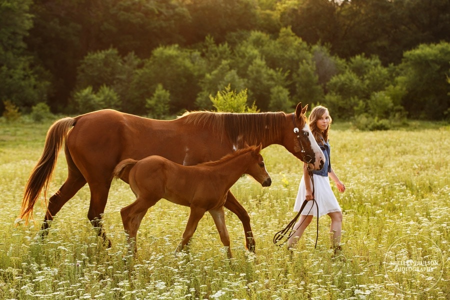 McKayla’s Senior Photos with Dream and her cute foal Blaze