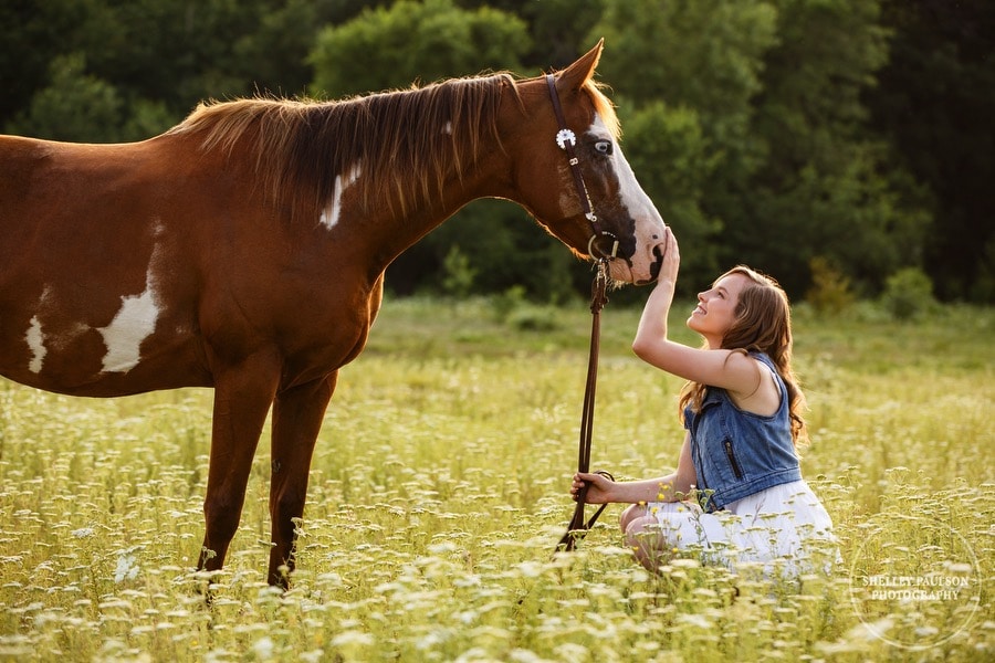 equine-senior-minnesota-05.JPG