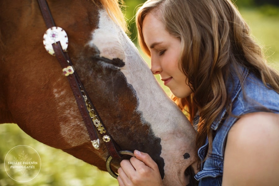 equine-senior-minnesota-06.JPG