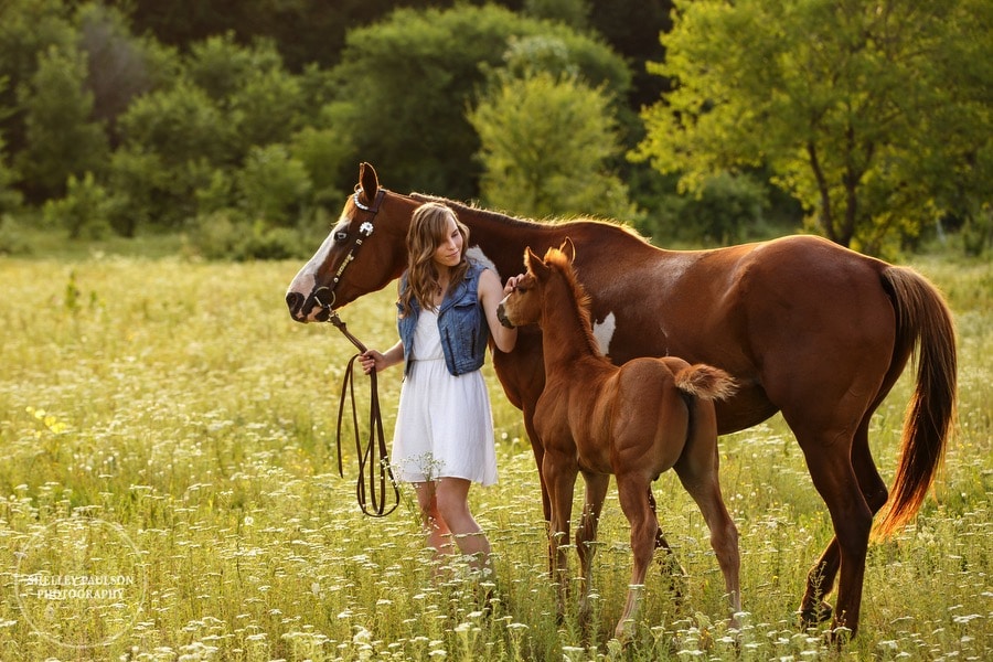 equine-senior-minnesota-07.JPG