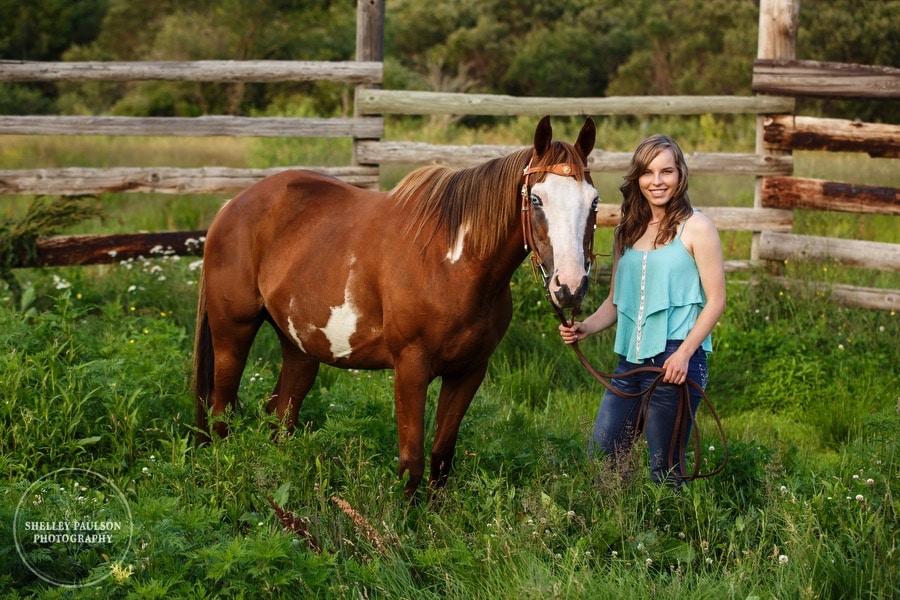 equine-senior-minnesota-12.JPG