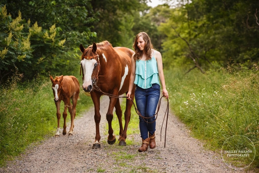 equine-senior-minnesota-14.JPG