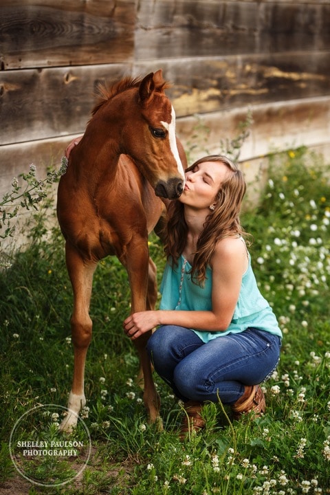 equine-senior-minnesota-15.JPG