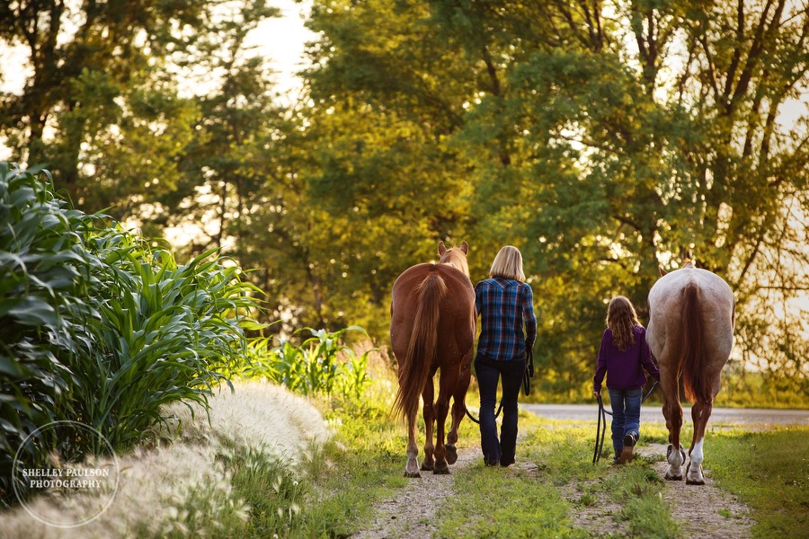 family-equine-portraits-08.JPG