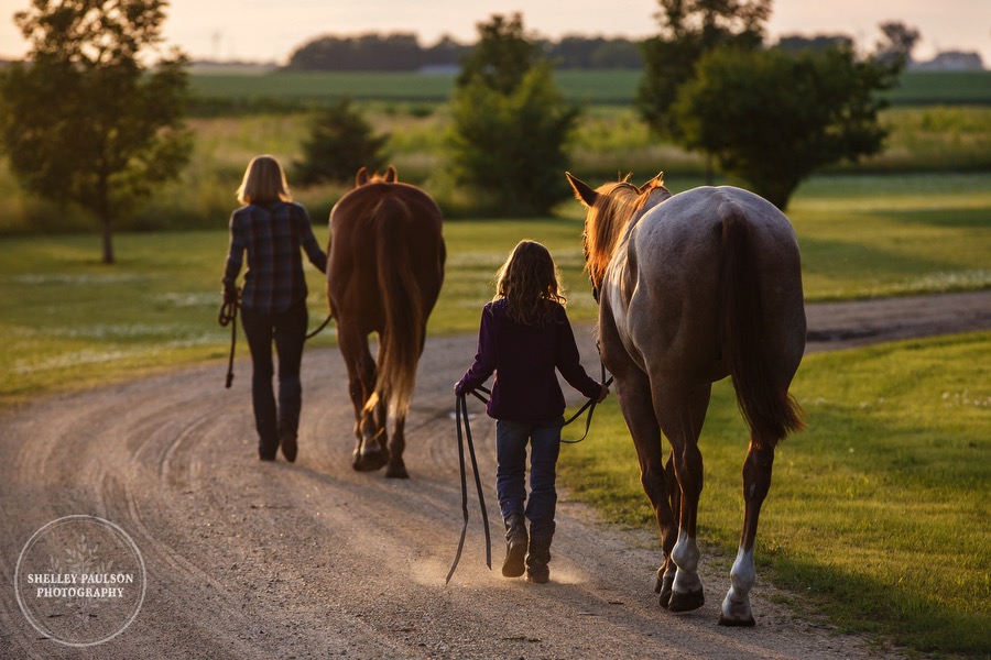 family-equine-portraits-10.JPG