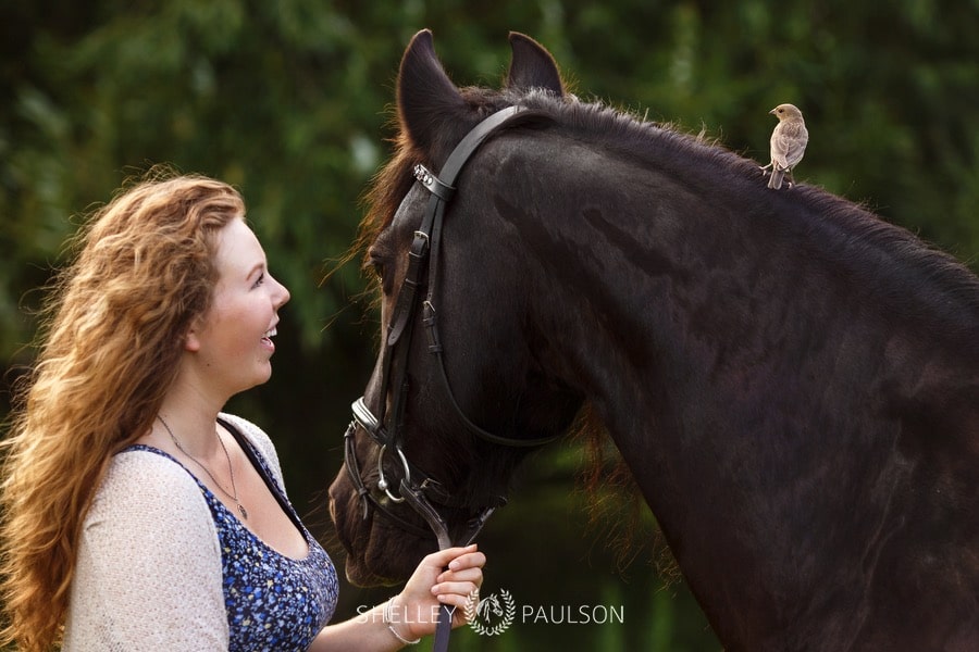 minnesota-equestrian-senior-01.JPG