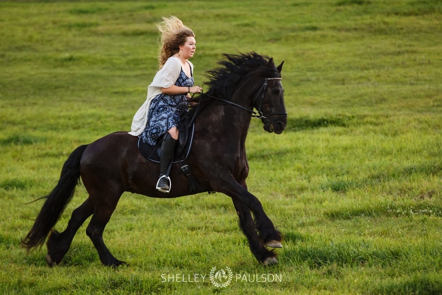 minnesota-equestrian-senior-11.JPG