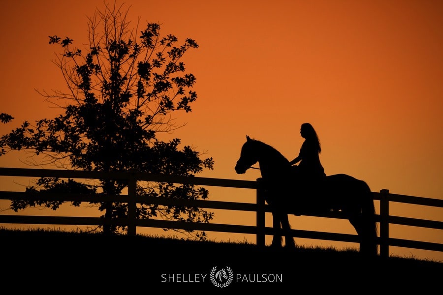 minnesota-equestrian-senior-12.JPG