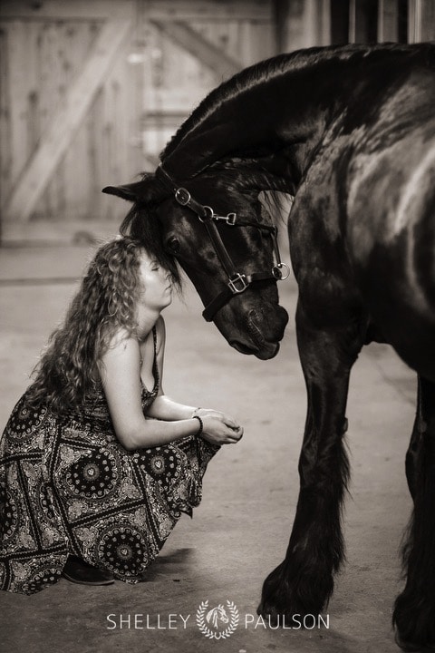 minnesota-equestrian-senior-14.JPG