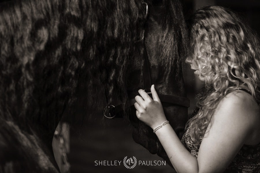 minnesota-equestrian-senior-15.JPG