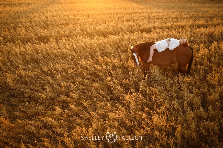 Ashley and Her Horse Stella – Golden Fields & Light