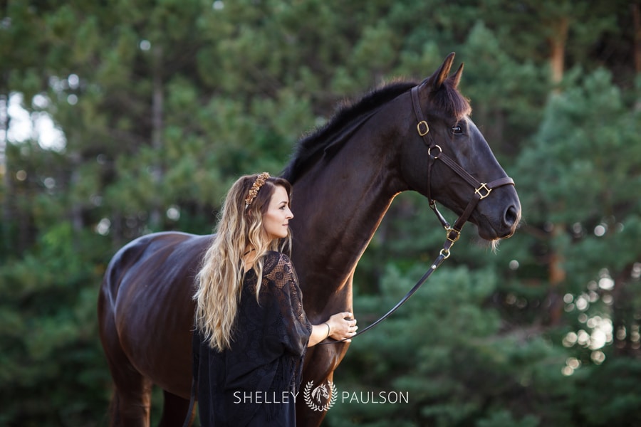 Janelle’s Equine Portrait Sunset Session