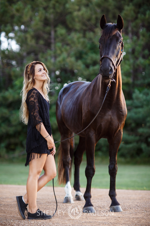 Minneapolis Equine Photographer