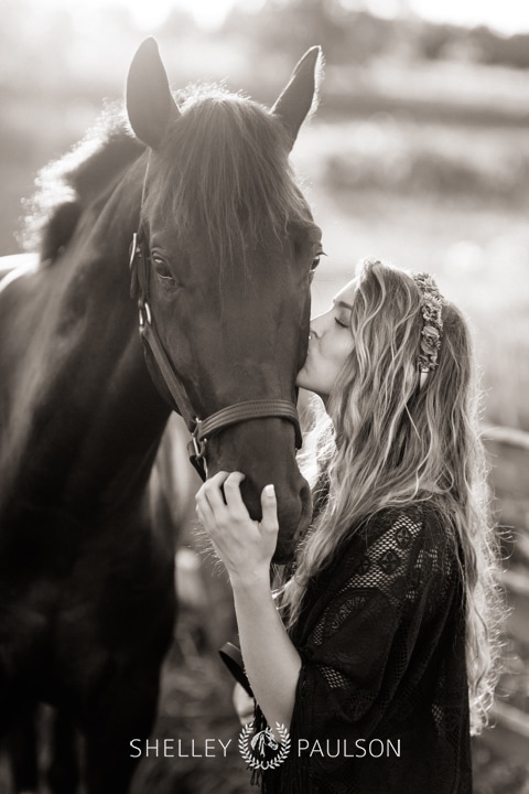 Minneapolis Equine Photographer