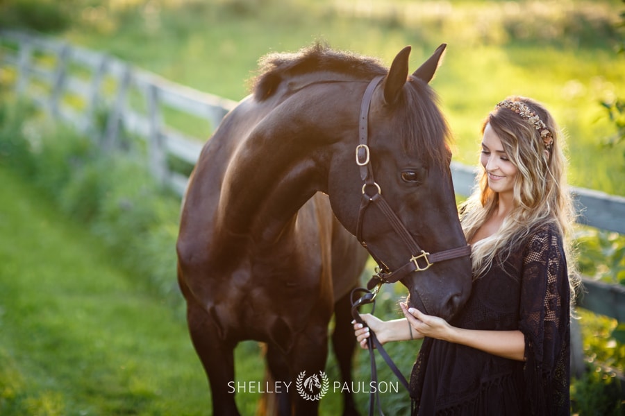 Minneapolis Equine Photographer