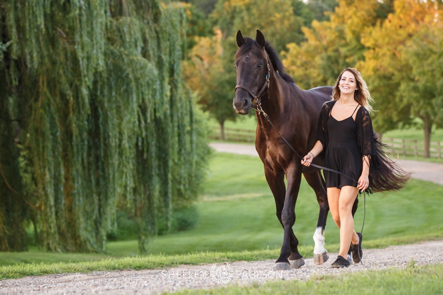 Minneapolis Equine Photographer