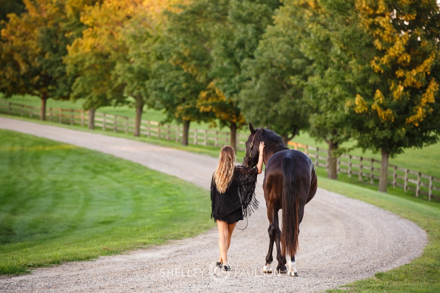 Minneapolis Equine Photographer