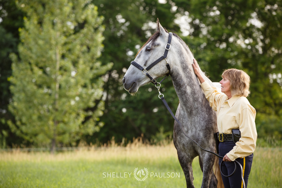 Commercial Equine Photography