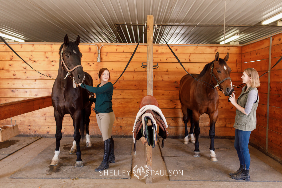 Equestrian Brand Photography