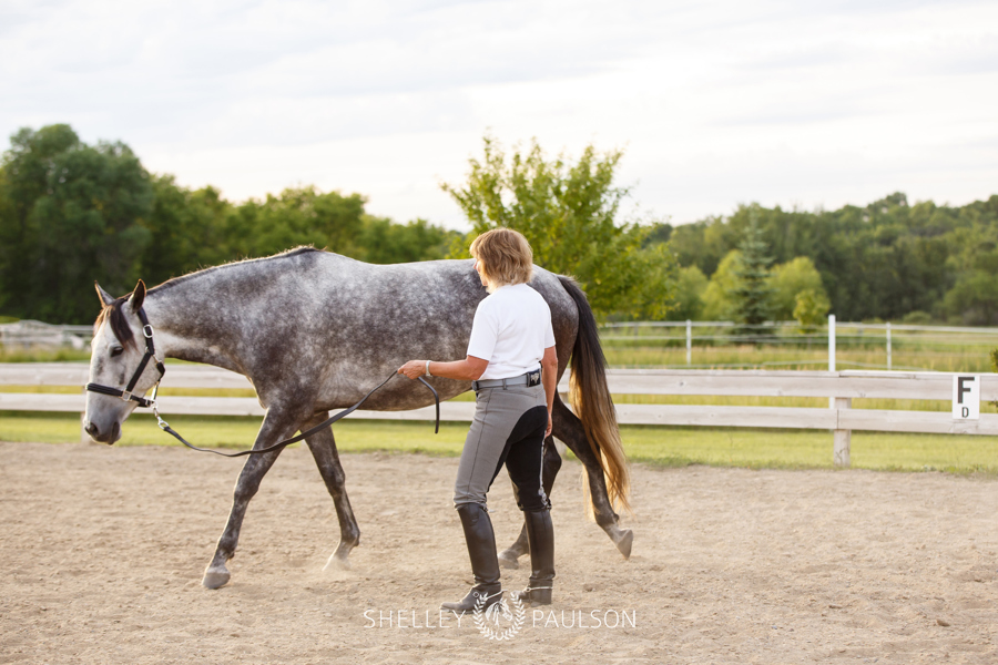 Commercial Equine Photography