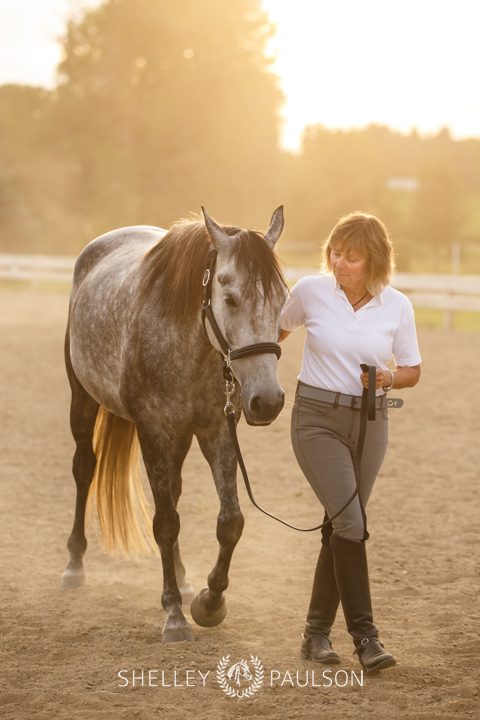 Commercial Equine Photography