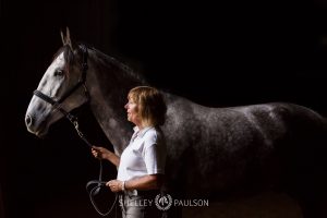 Commercial Equine Photography