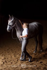 Commercial Equine Photography