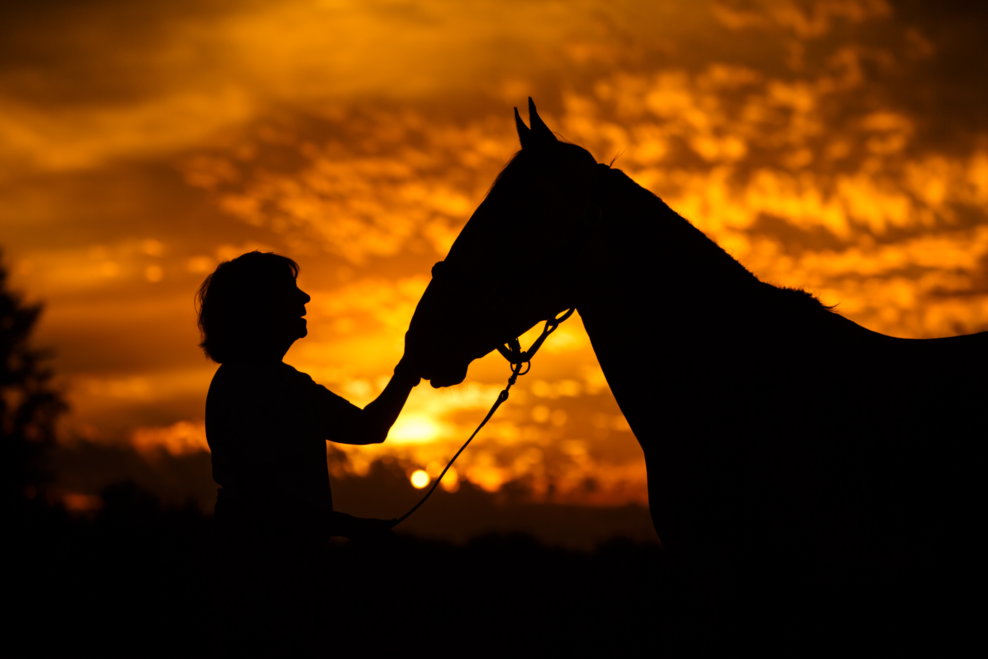 Mary Hamilton – Rider’s Elite Academy Inc.