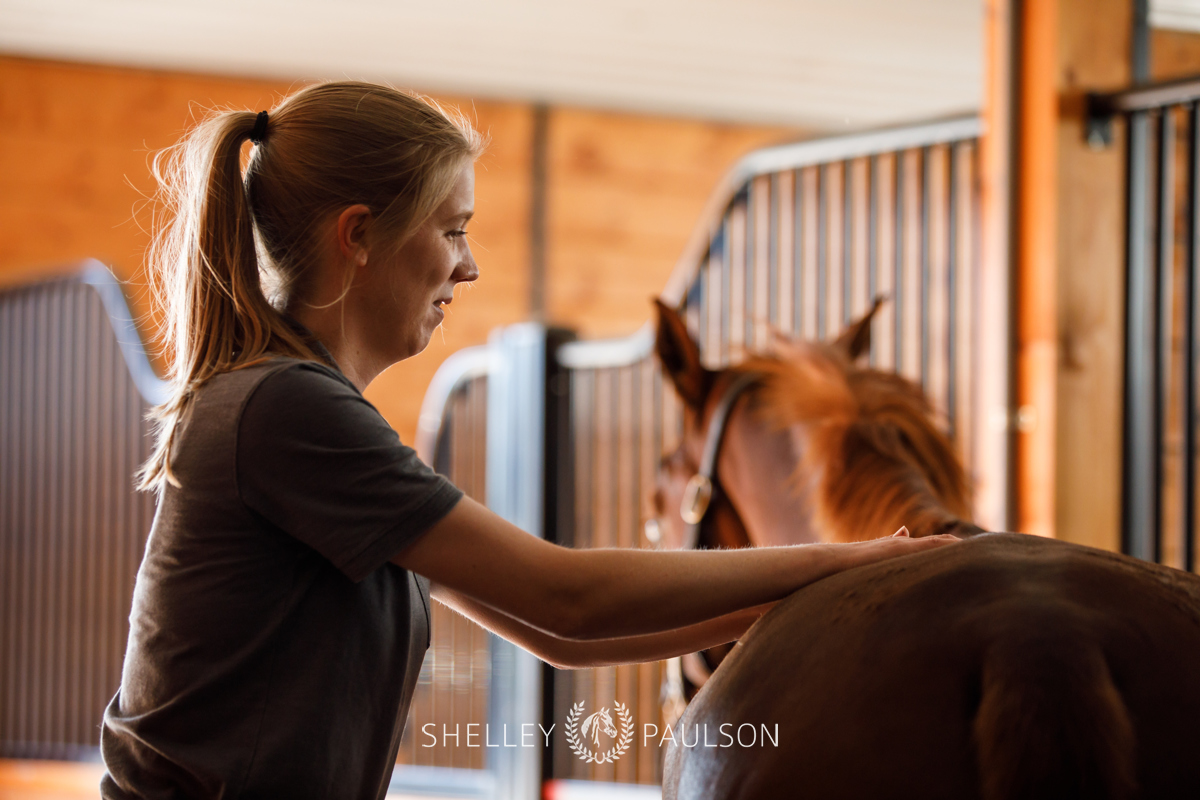 Branding Photography for Kyla Awes – Equine Chiropractor