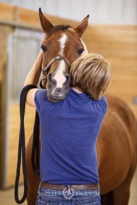 Equine Advertising Photography and Video